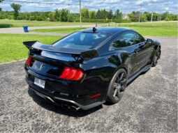 
										2020 Ford Mustang Shelby GT500 full									